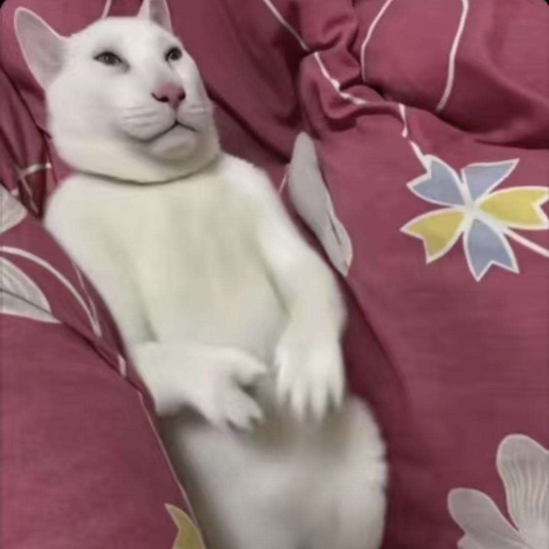 南寻雪