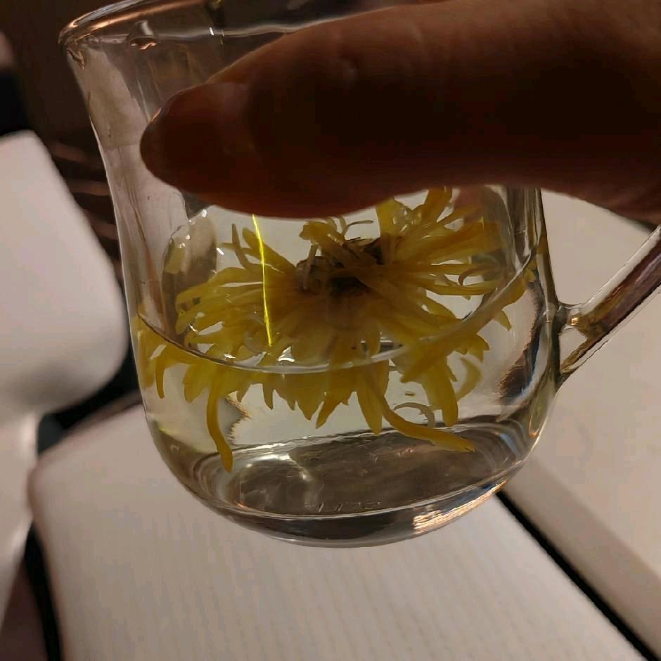 (●—●)释怀(●—●)