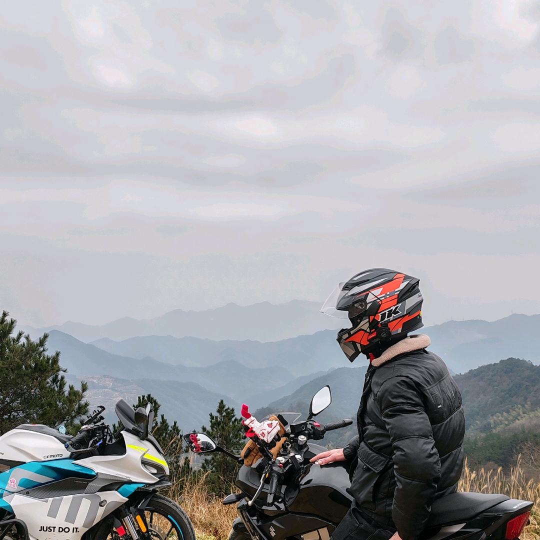 我是一匹孤狼