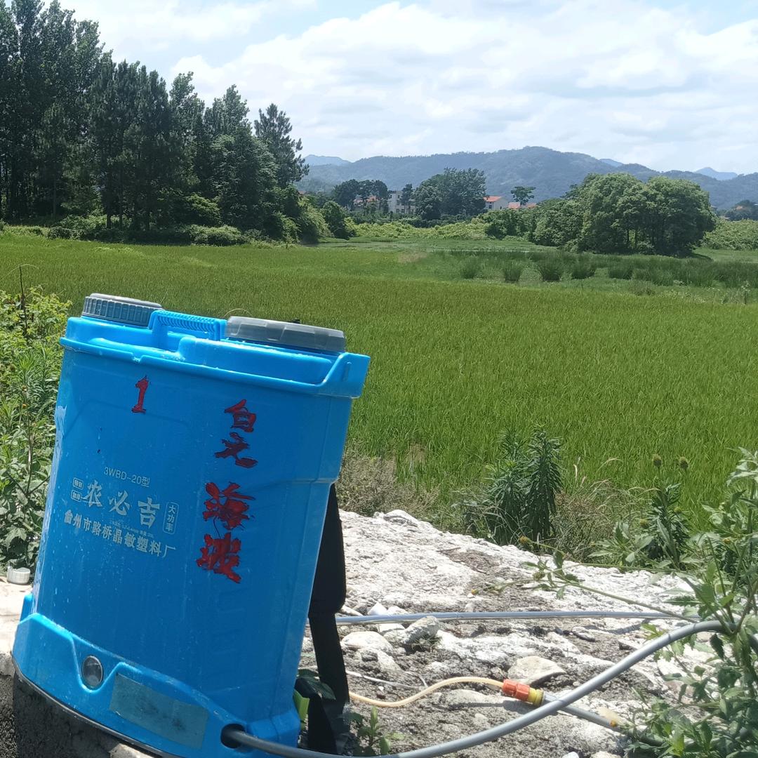 岳阳县杨姑姥农业科技有限公司（大海之子）