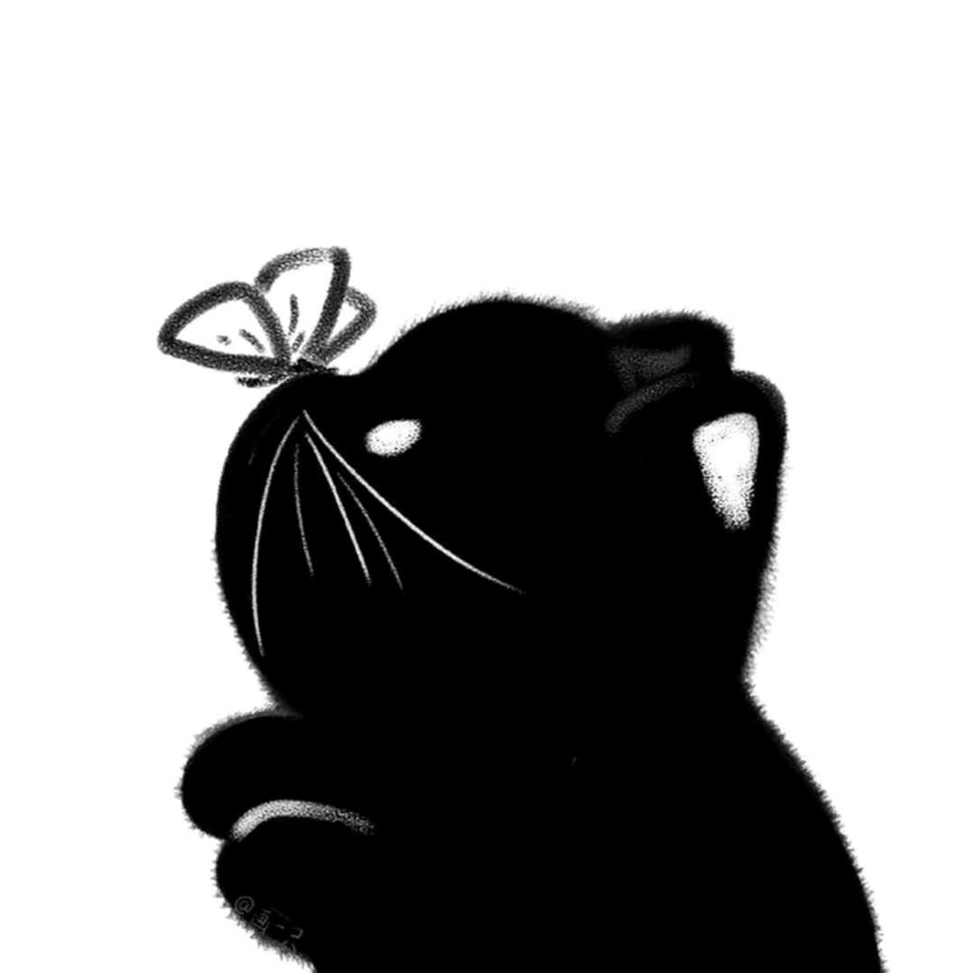 宝宝巴士机车长