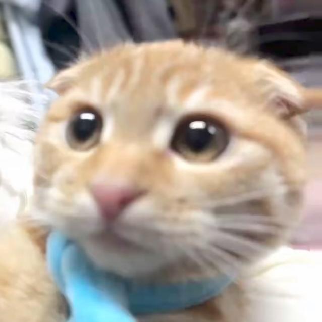 爱我别肘
