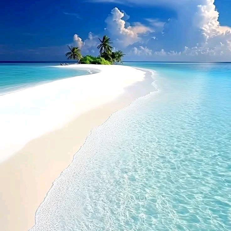 源头信息网络科技Yuantou Tech