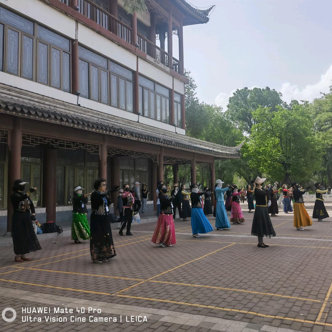 维舞独尊