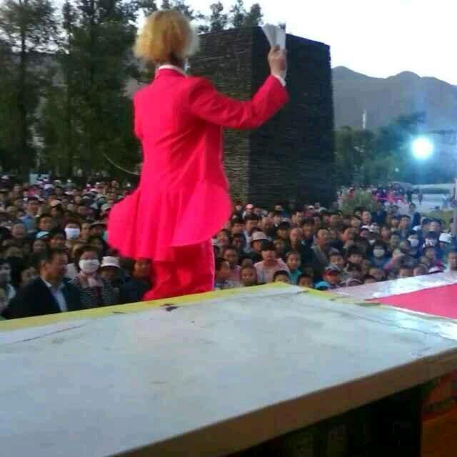 非遗传承人刘兰芳