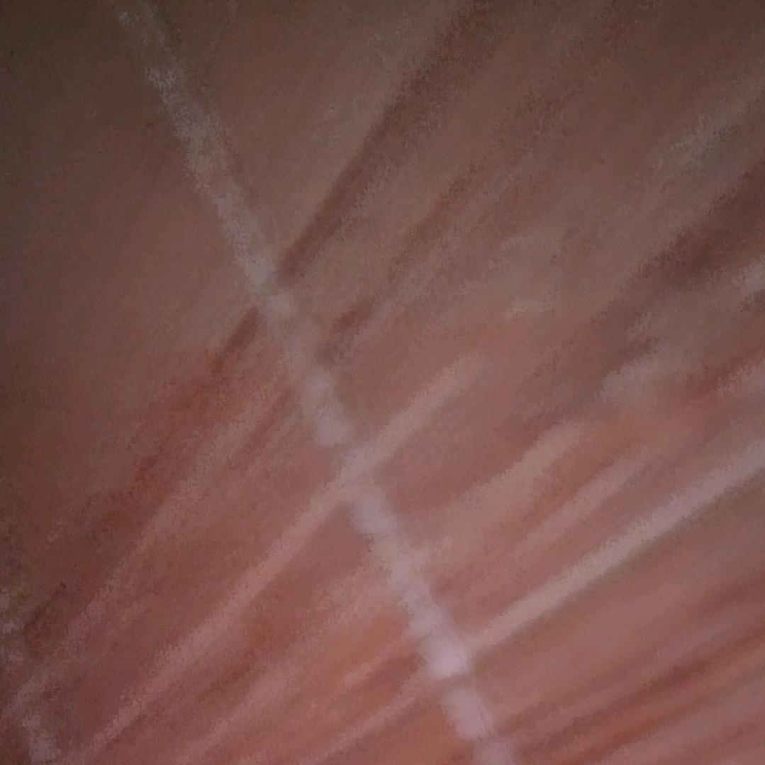 猫猫粉丝