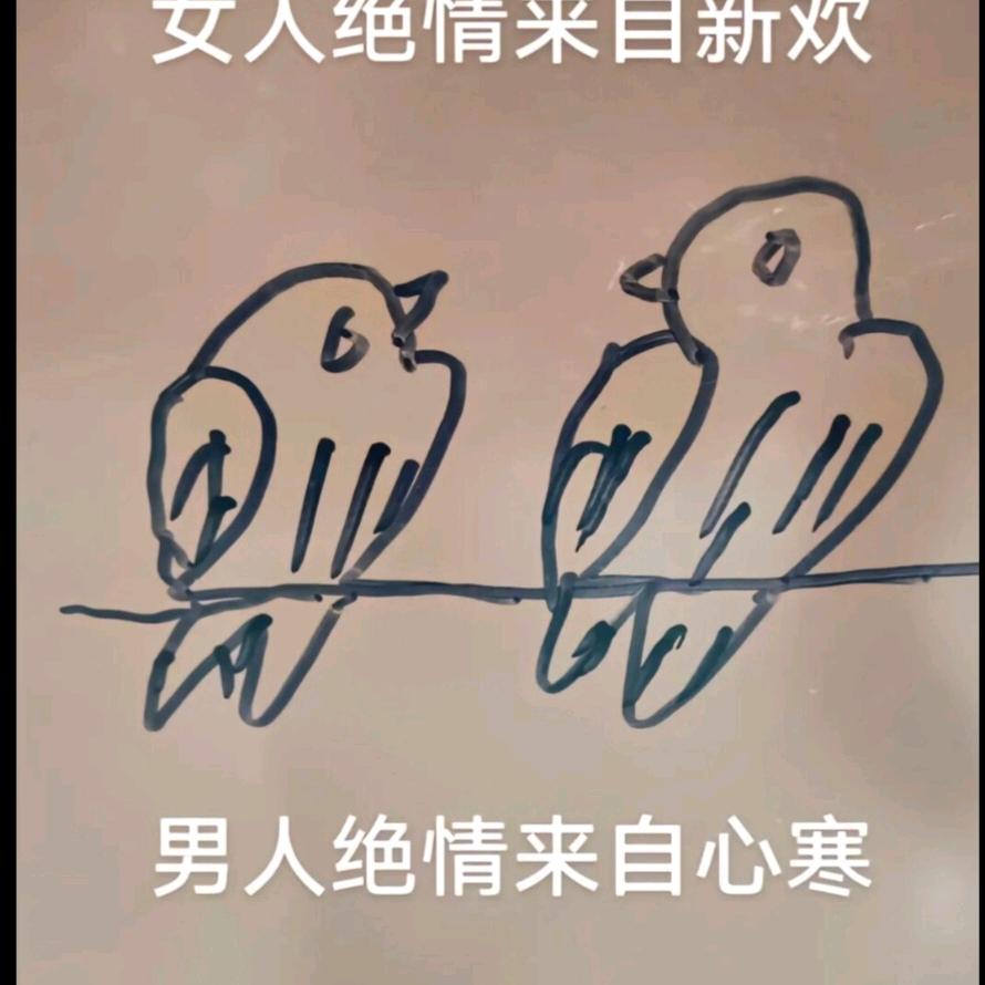@随风