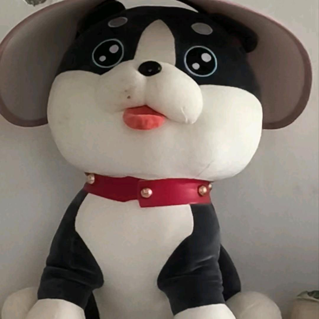 墨雨