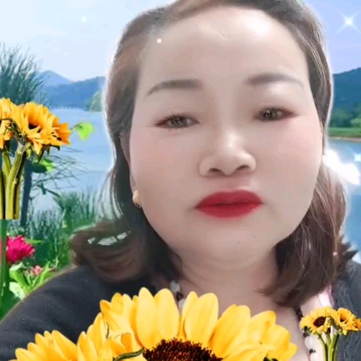 泡泡肥猫