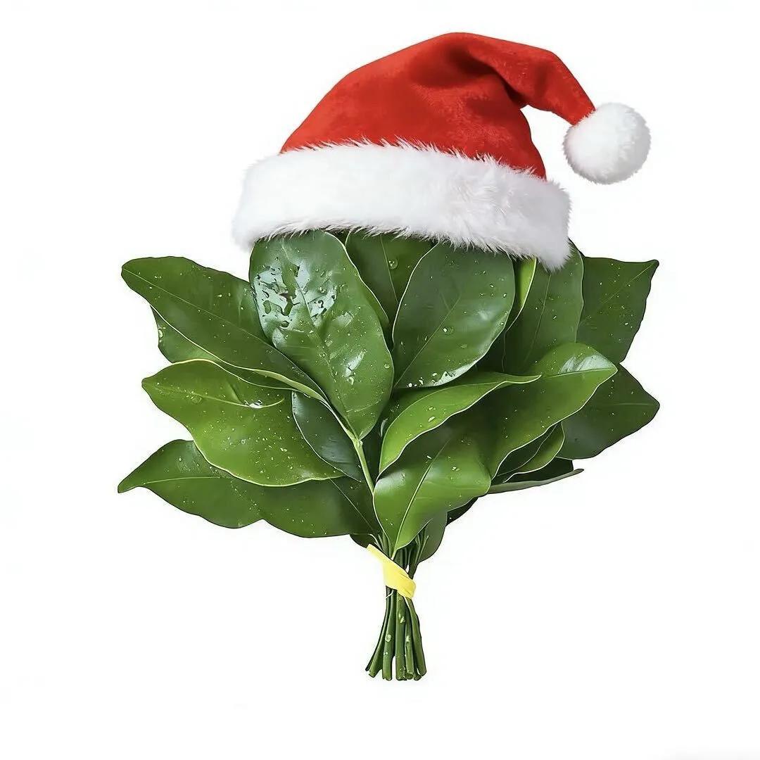 旁边有头小香猪