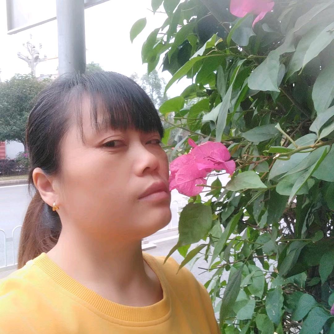 三月的风