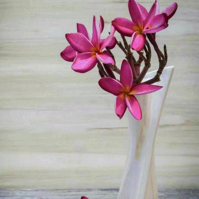 好物（好运～余幺妹）