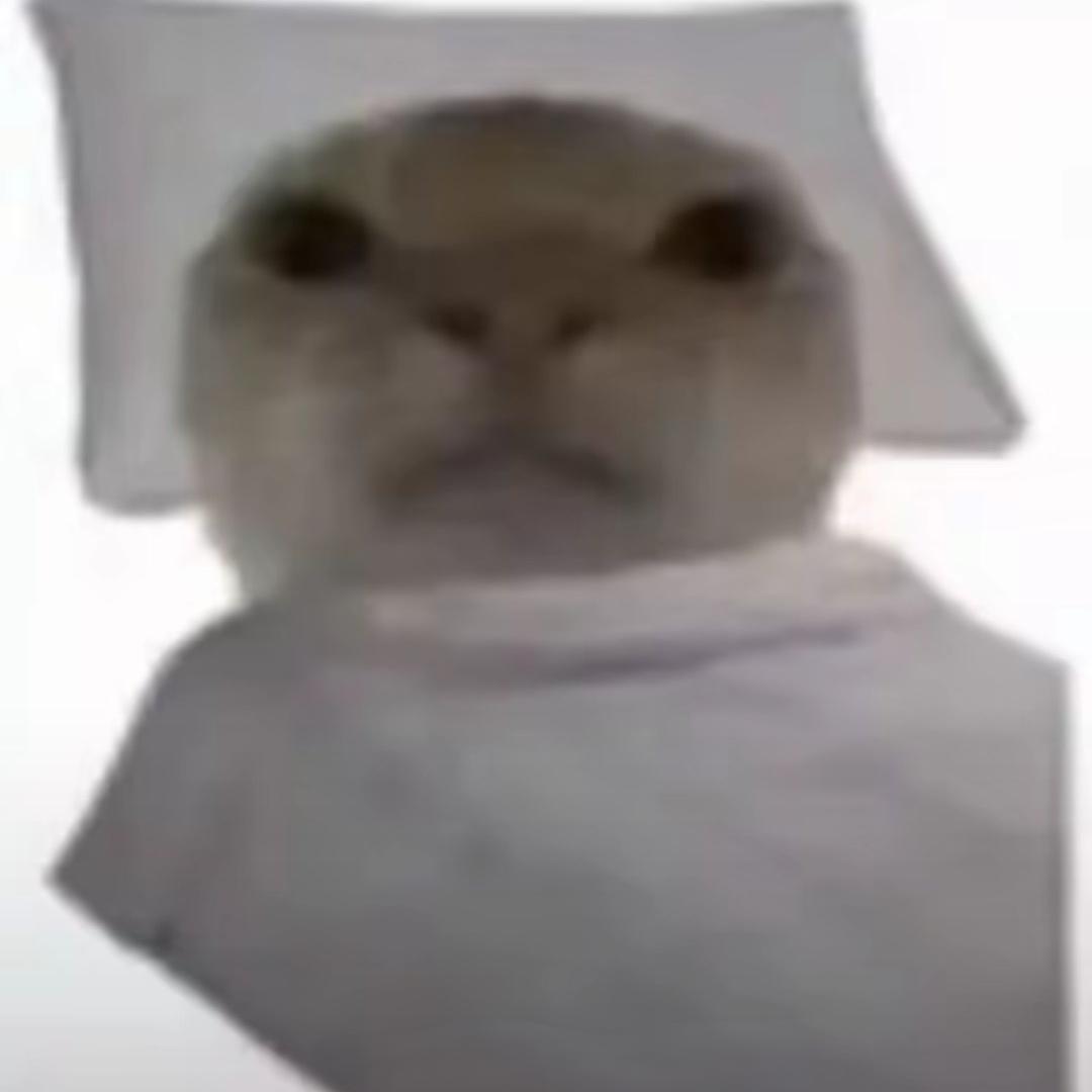 皮蛋鲜虾煲