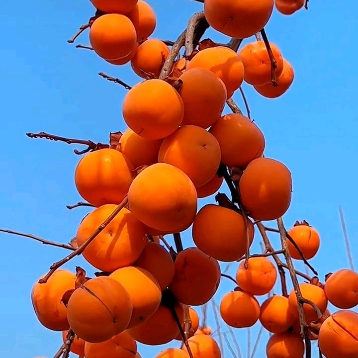 好运Zhuαng满怀4113