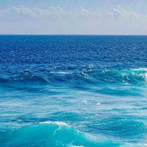 海洋