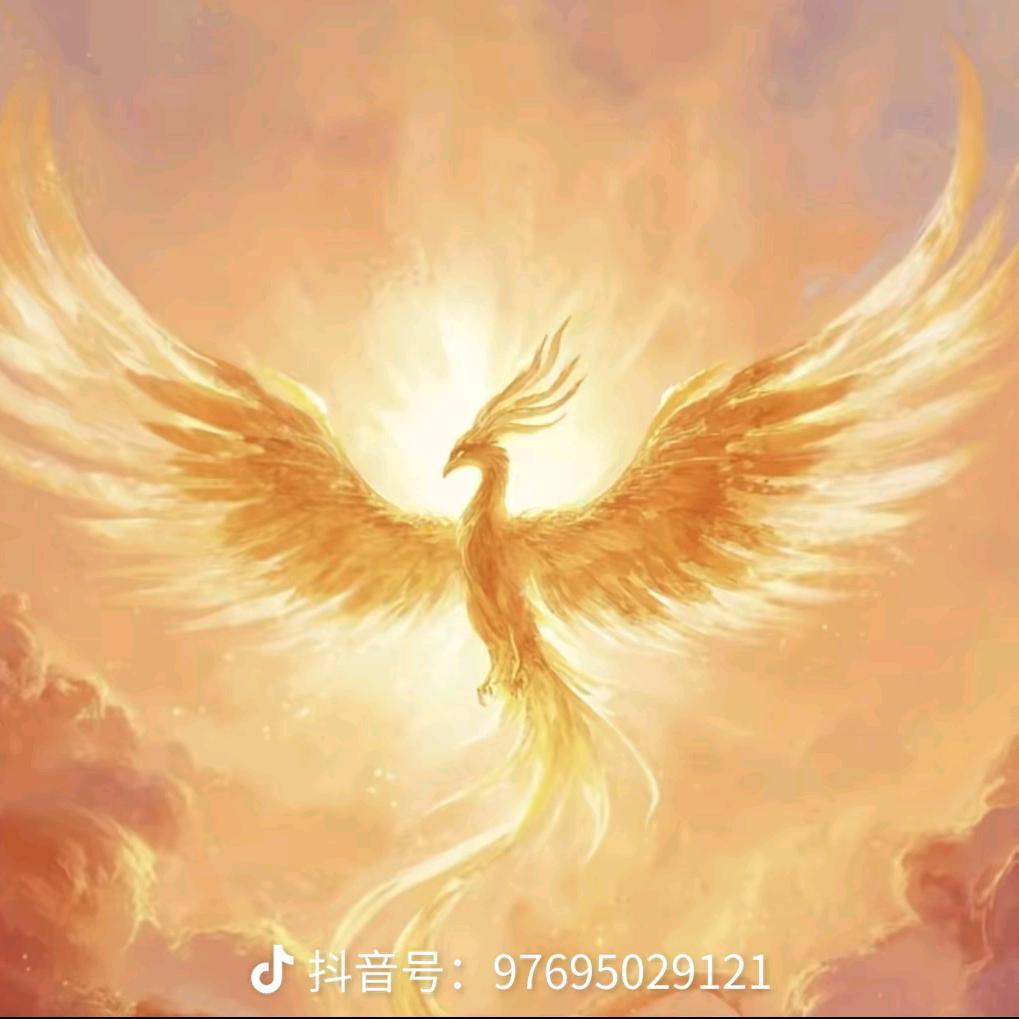 清如梅花