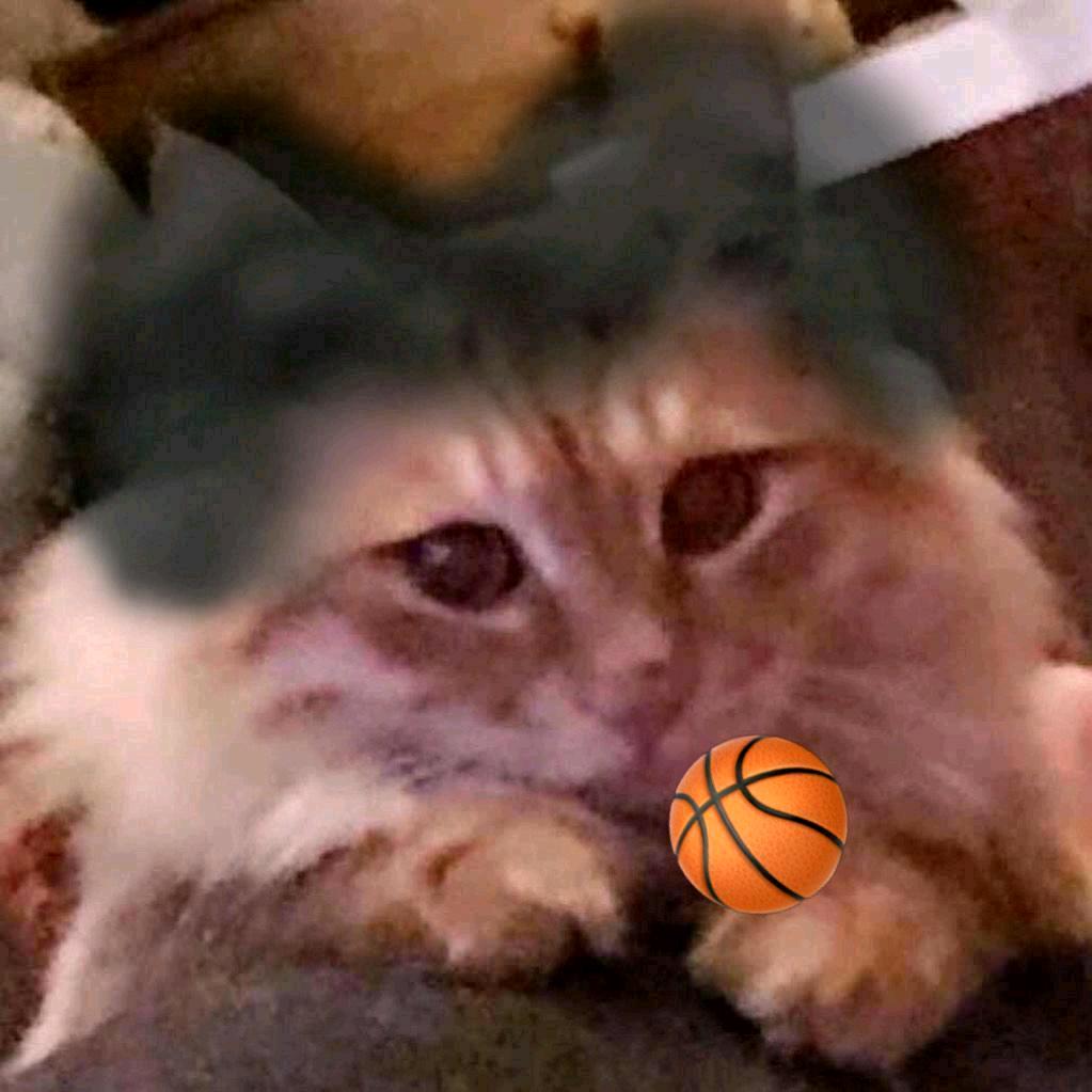 🎼身坚智残的猪（和juju吃饭版）🍍