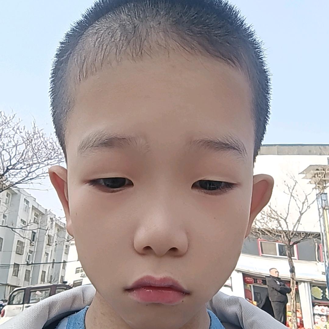 凯凯头像