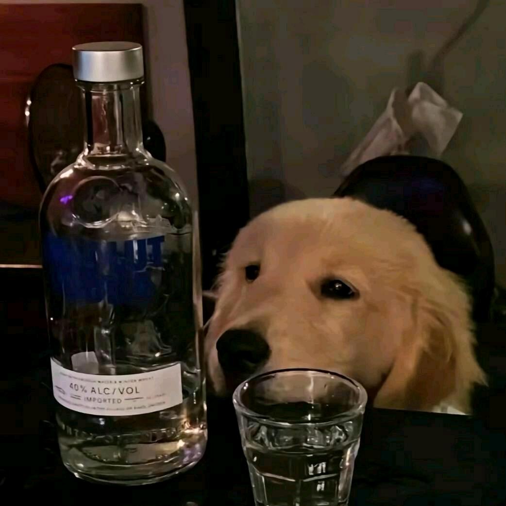 ℳ̶̶̶̶♡̶҉꧔ꦿ℘