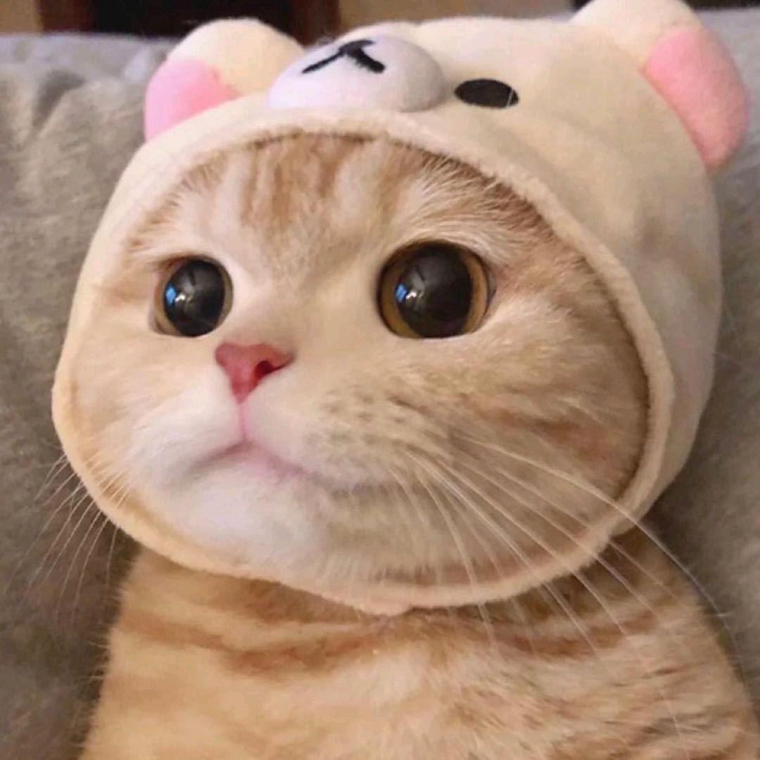 子涵妈妈