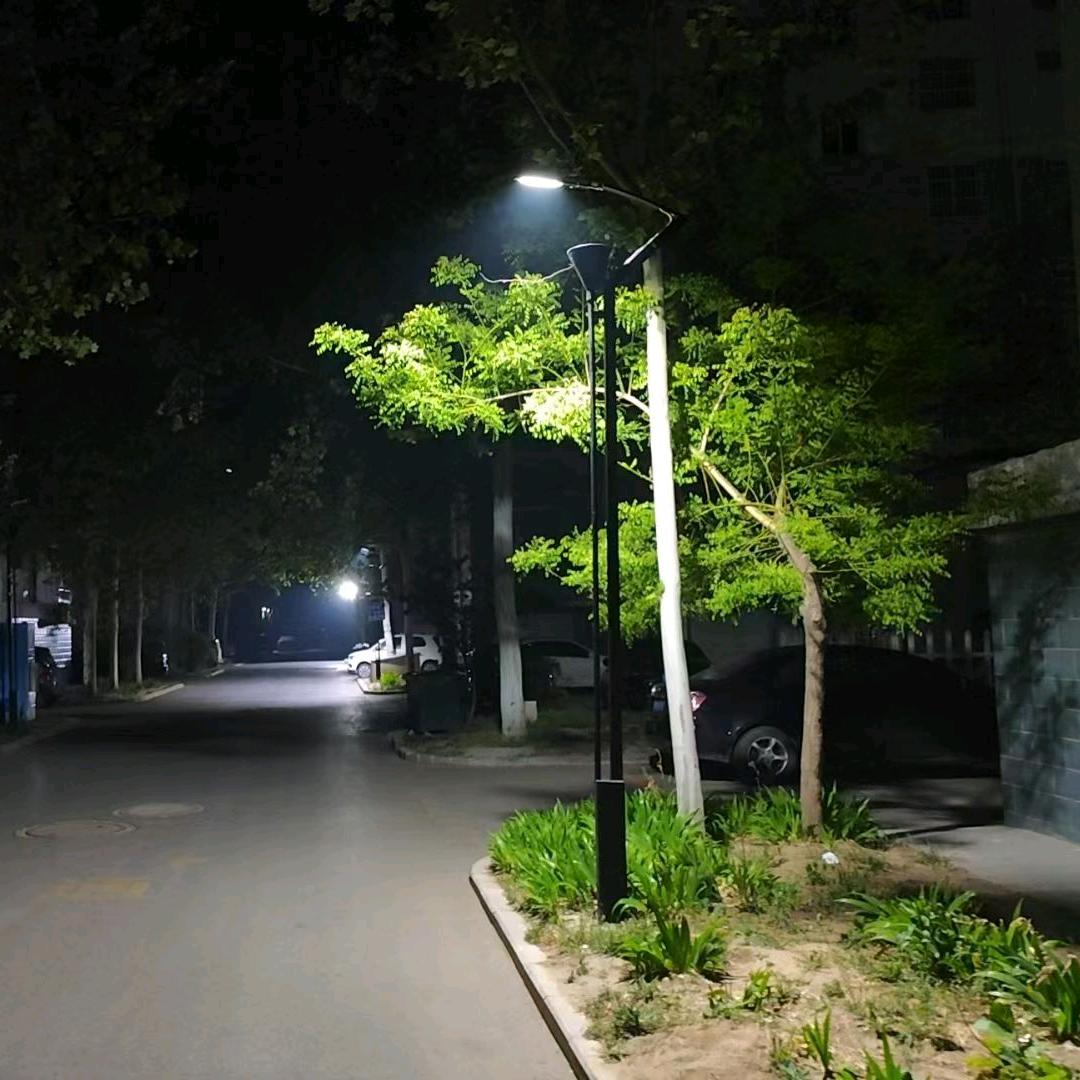 龙乐