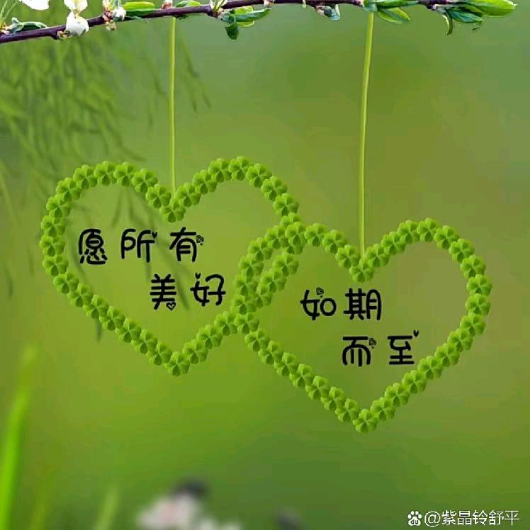 李怼怼🕊️