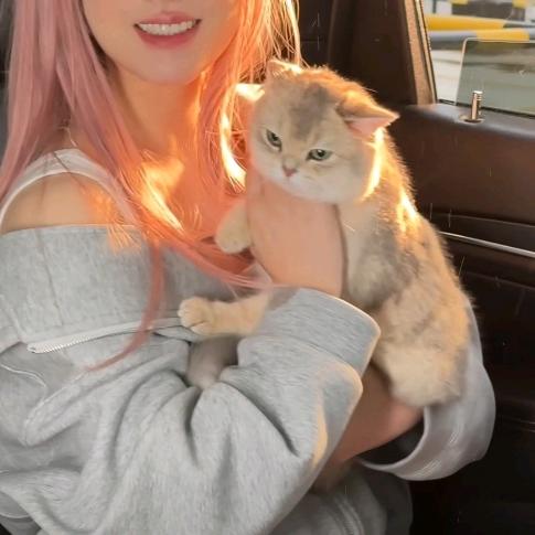 夕颜（小游戏）