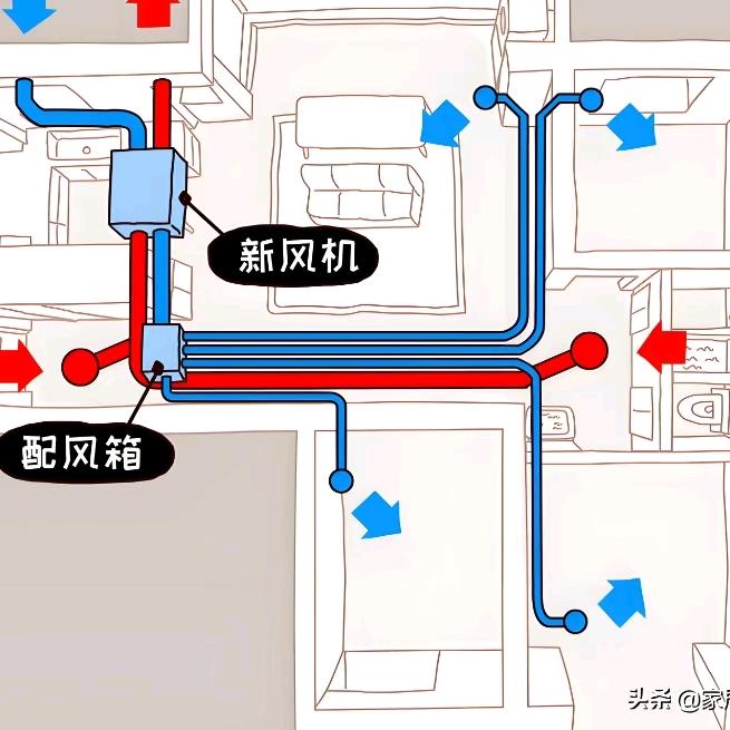 光头李陪你选新风