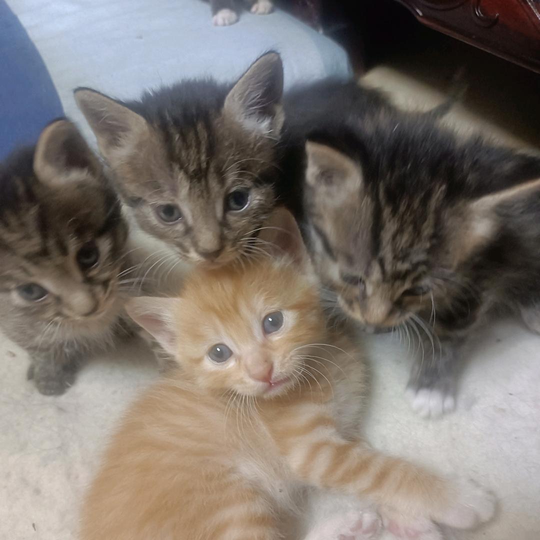 多长时间可以休息