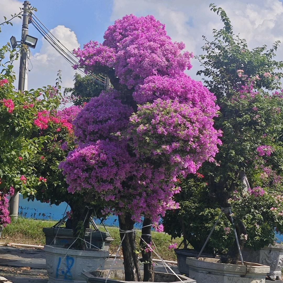 清风徐来，谢绝私聊