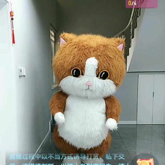 时光上了所
