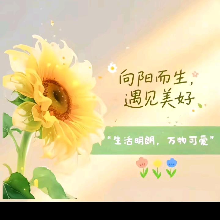 小番茄🍅