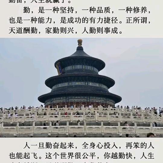 雄鹰🦅