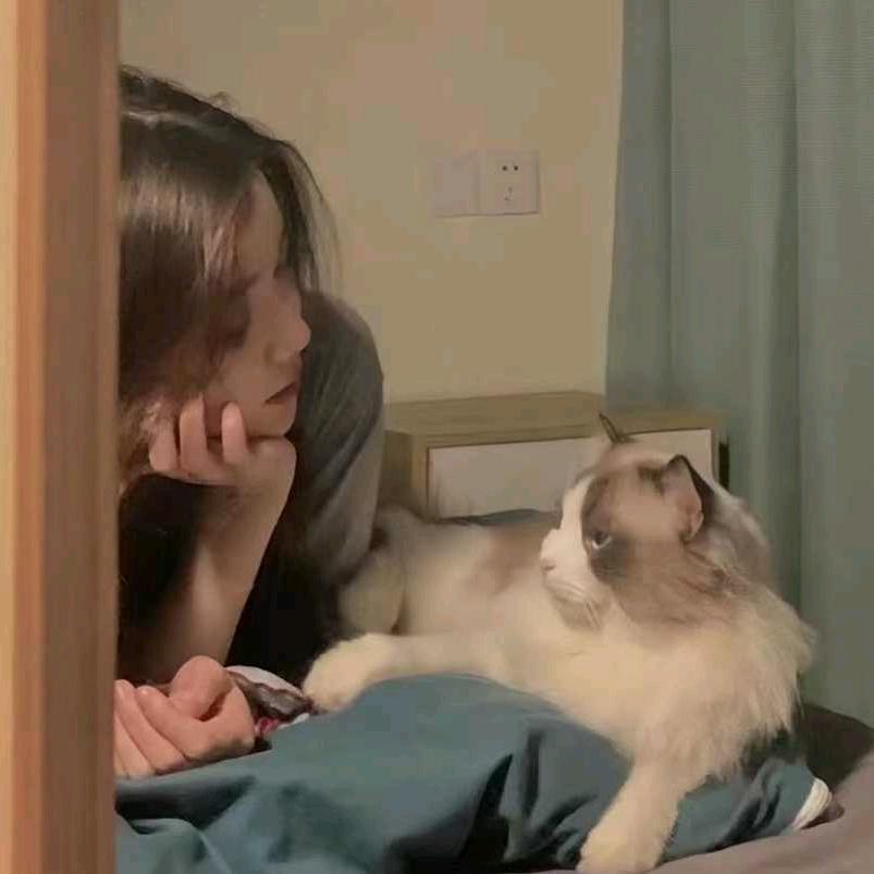 Tsuki✨