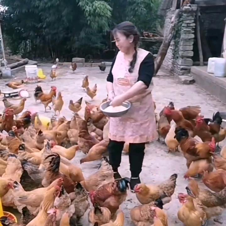 张二姐