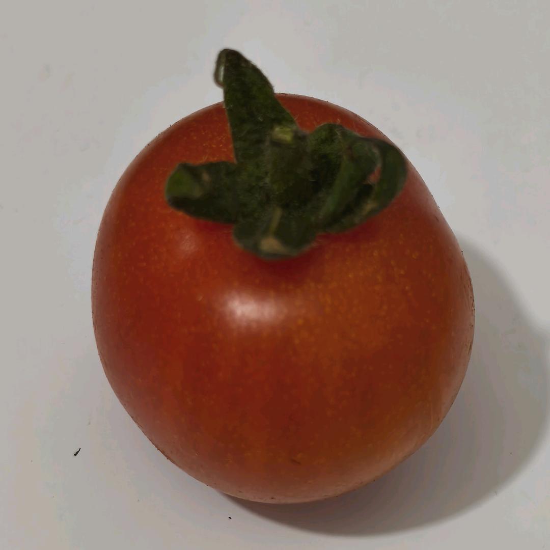 小番茄