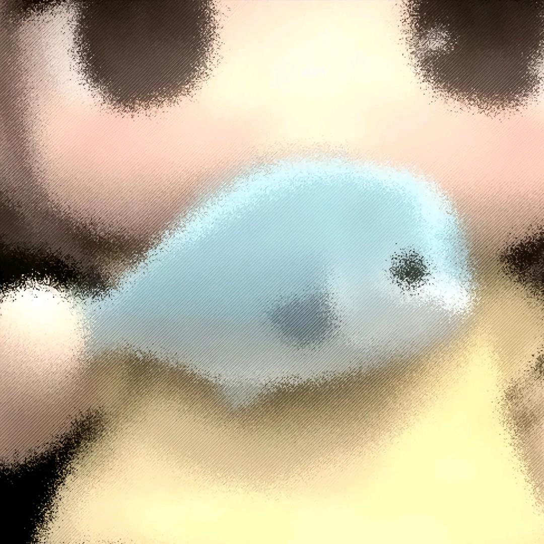 小张