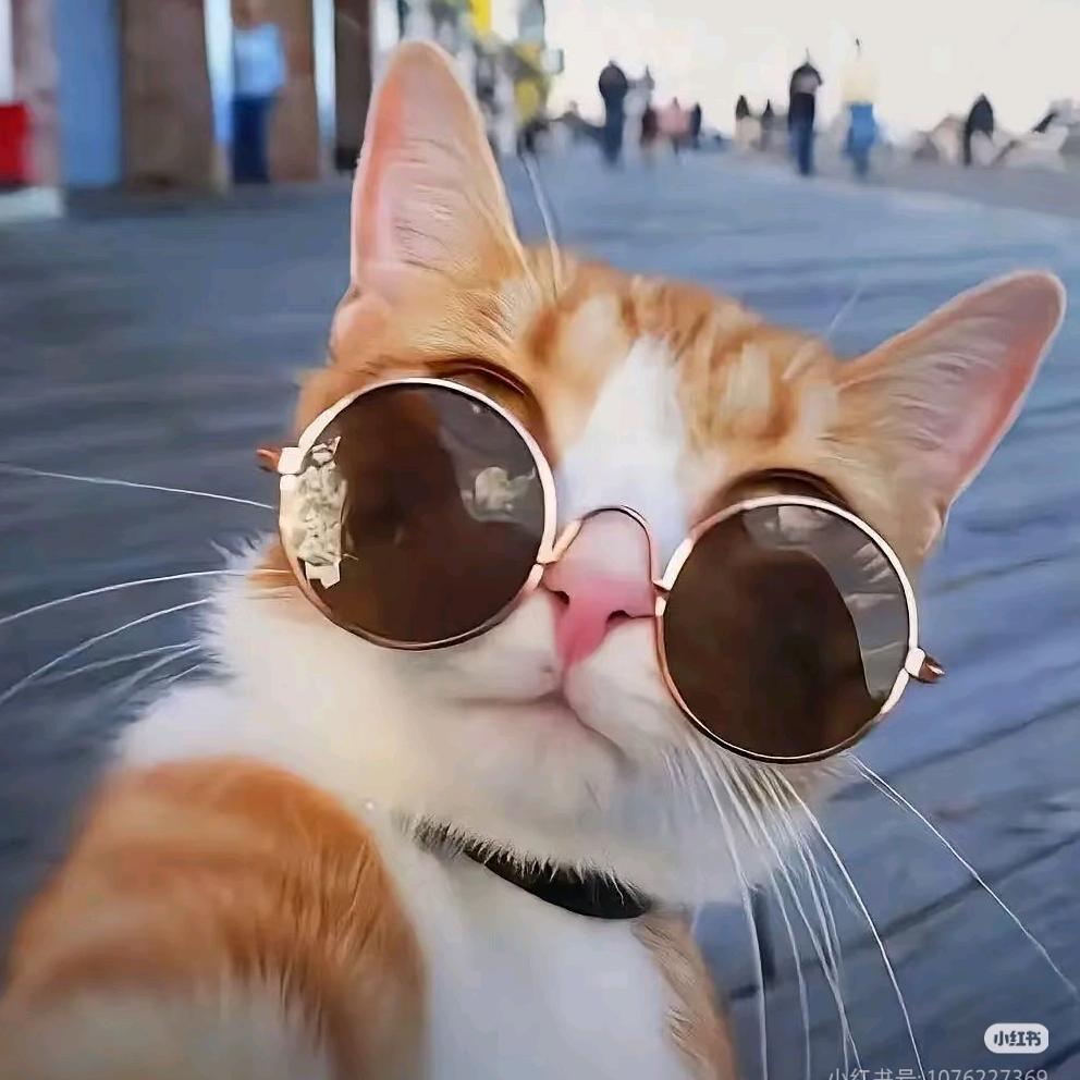 释💯🌻⃟⸜怀