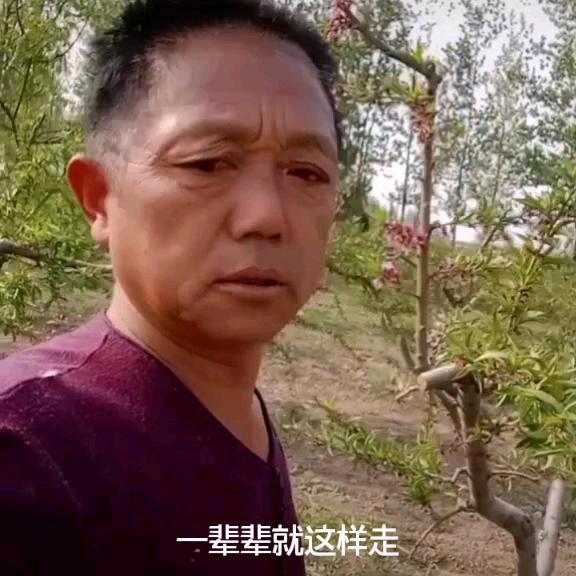 草上飞