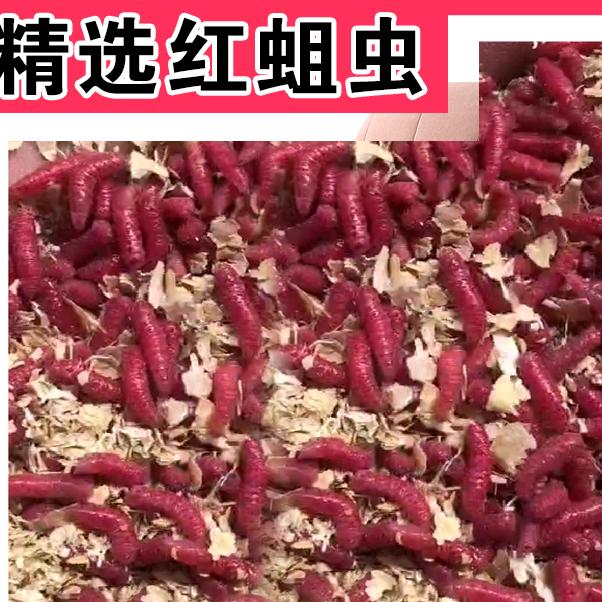 水流腥义乌店