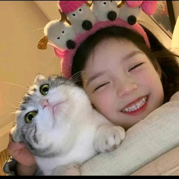 ᥫᩣ  ʚ呆呆ɞ
