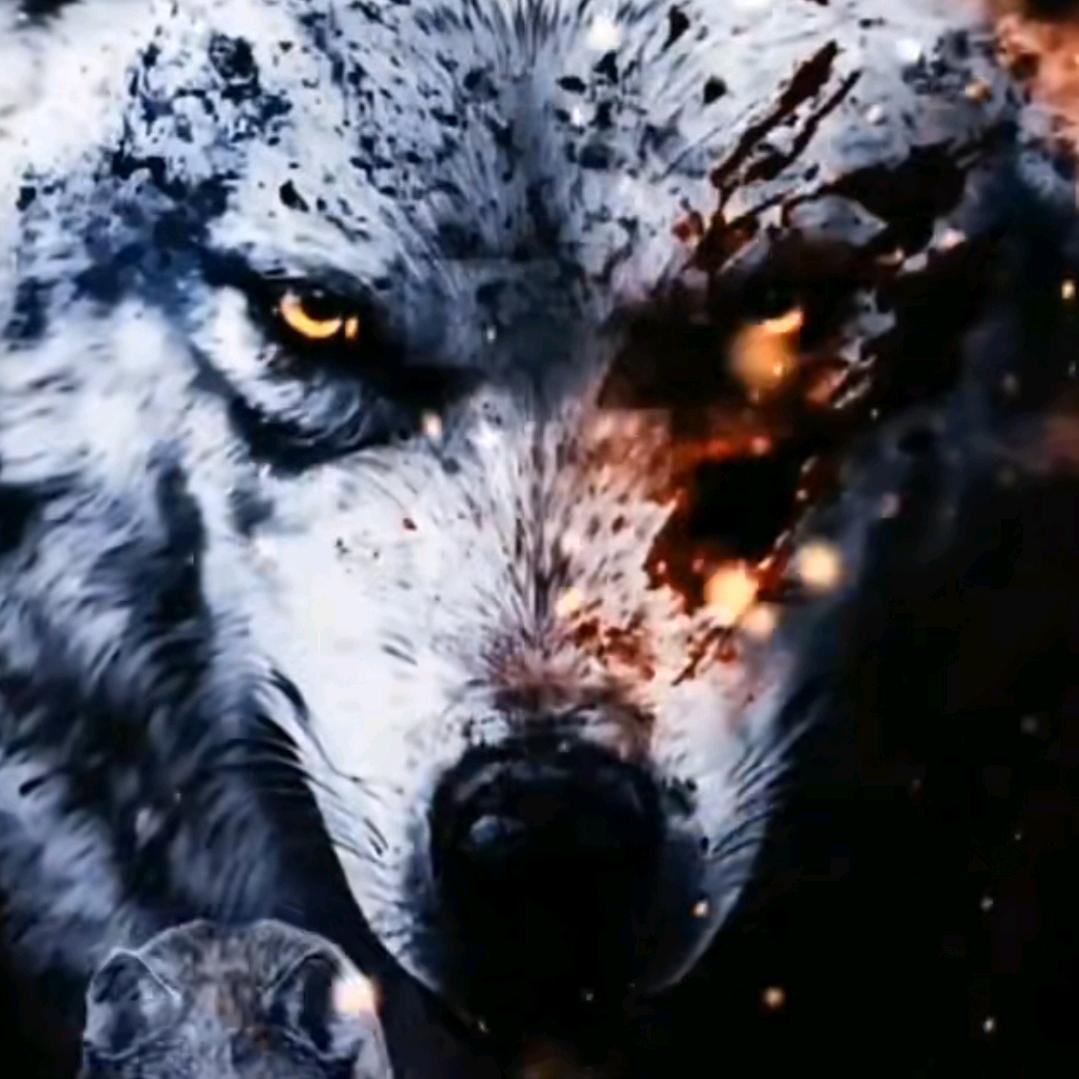 🦋戰ꦿ᭄໊䱶🕊。᭄