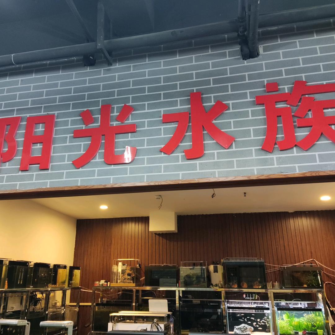 阳光水族