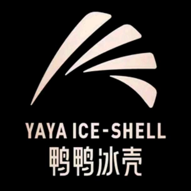 鸭鸭冰壳运动装备旗舰店