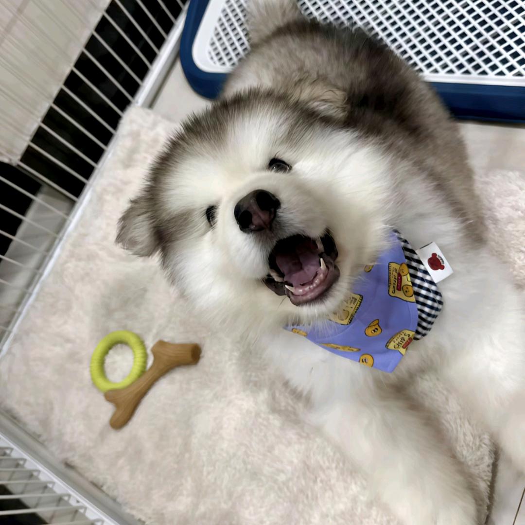 下了小小雨^