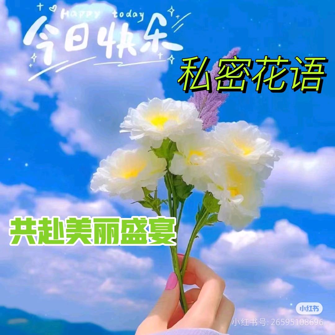 是苏苏吖