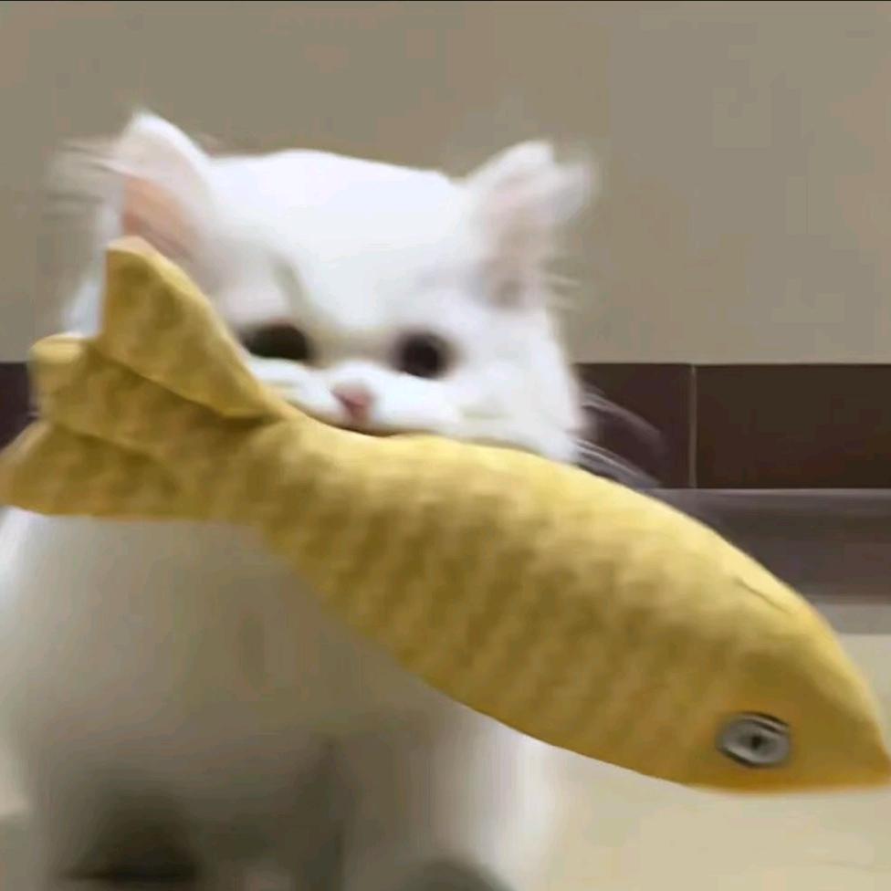 聪明蛋挞