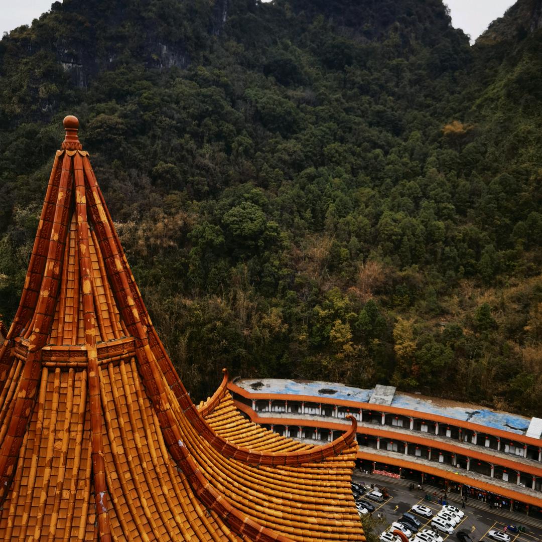 小飞耍抖音