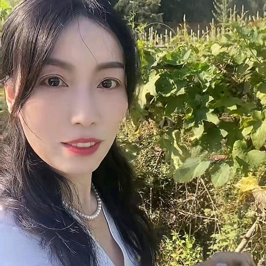 贵帧