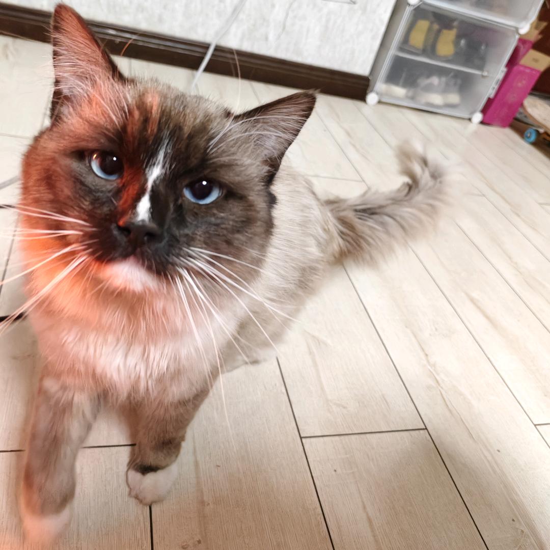 @新人主播开播第一天